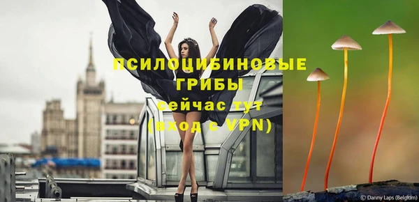 спайс Балахна