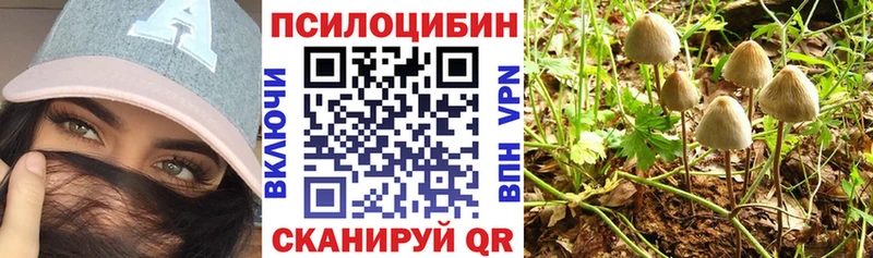 Галлюциногенные грибы Psilocybine cubensis  хочу наркоту  Ногинск 