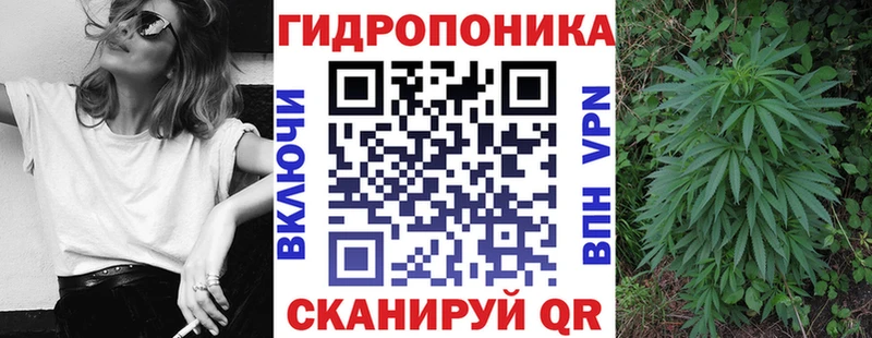 закладка  Ногинск  Конопля Amnesia 